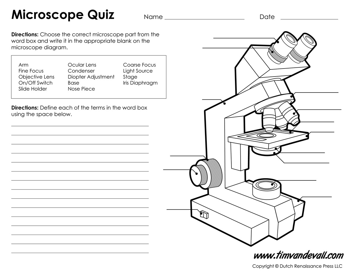 Microscope Diagram Labeled, Unlabeled and Blank  Parts of a  education, grade worksheets, learning, worksheets for teachers, and math worksheets Compound Microscope Parts And Functions Worksheet 927 x 1200