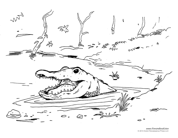 baby alligator coloring pages - photo #31