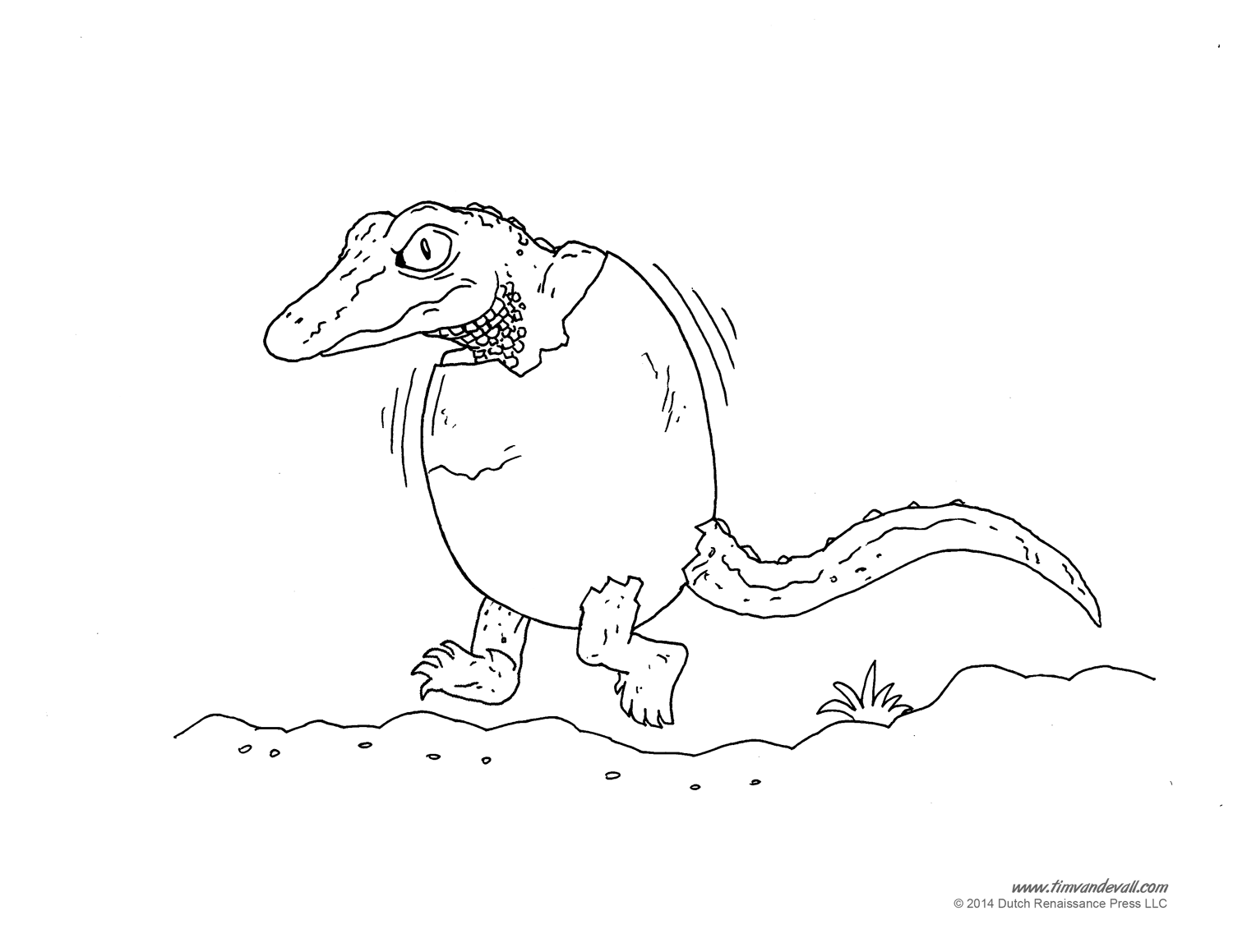 baby alligator coloring pages - photo #44