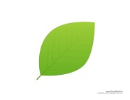 Free Coloring Pages Of The Leaf Is Green