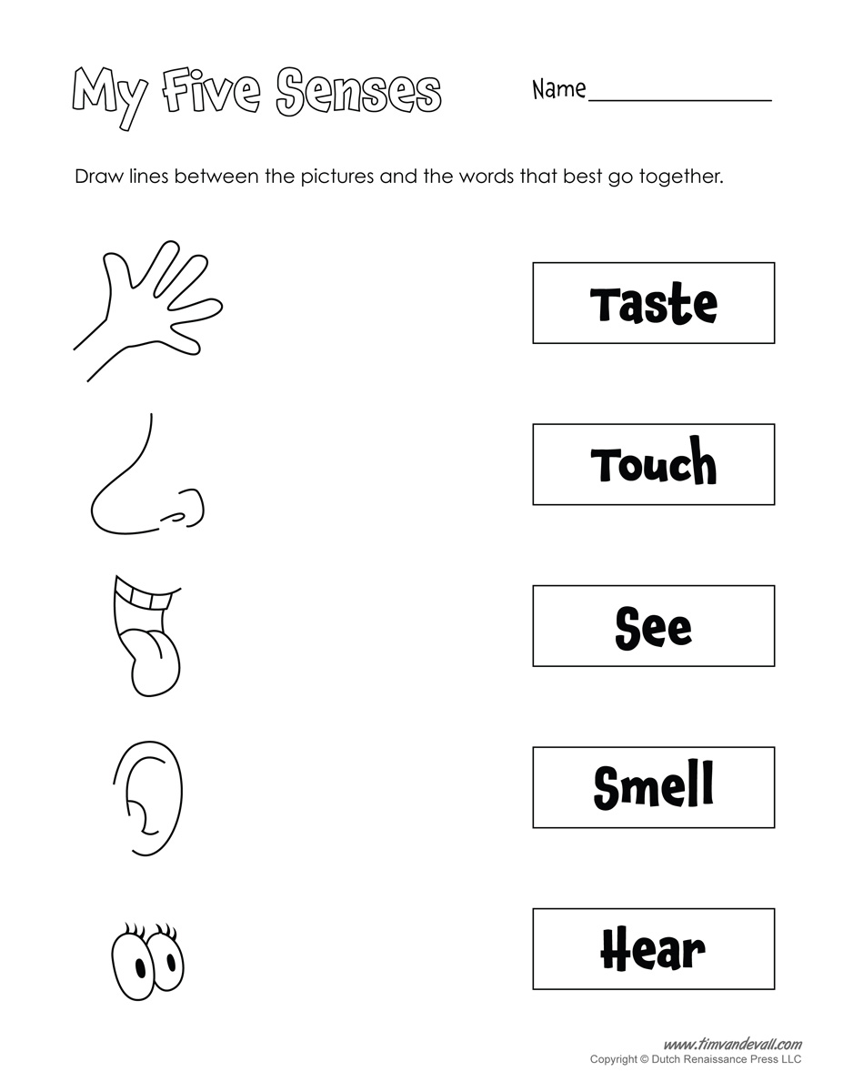 Categories Activities · Classroom Next Printable Five Senses