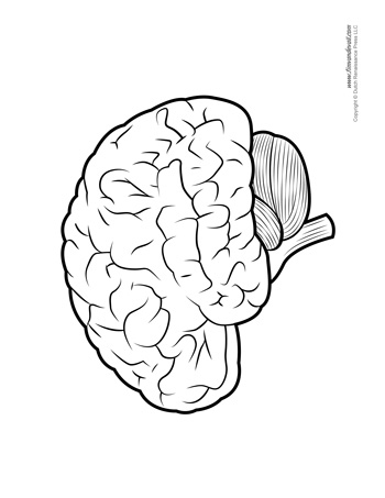 Brain Diagram Blank Bw Tim S Printables
