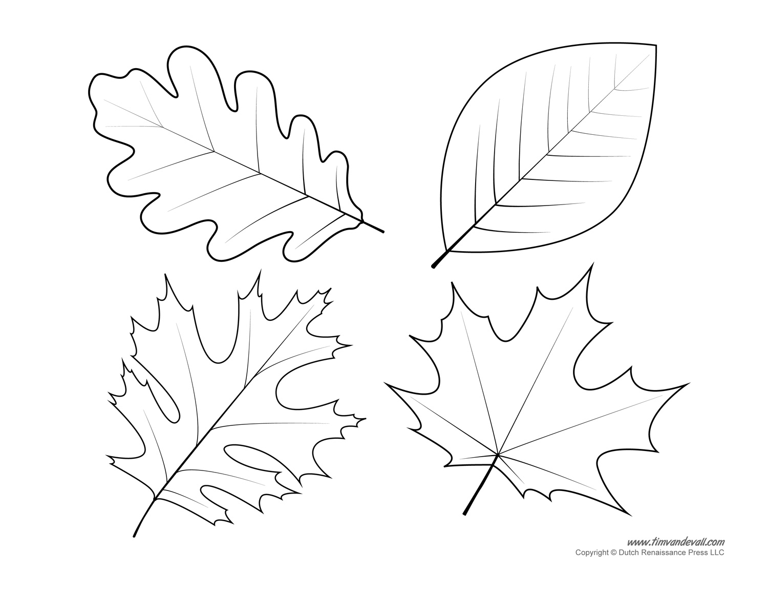 Leaf Templates & Leaf Coloring Pages for Kids Leaf Printables