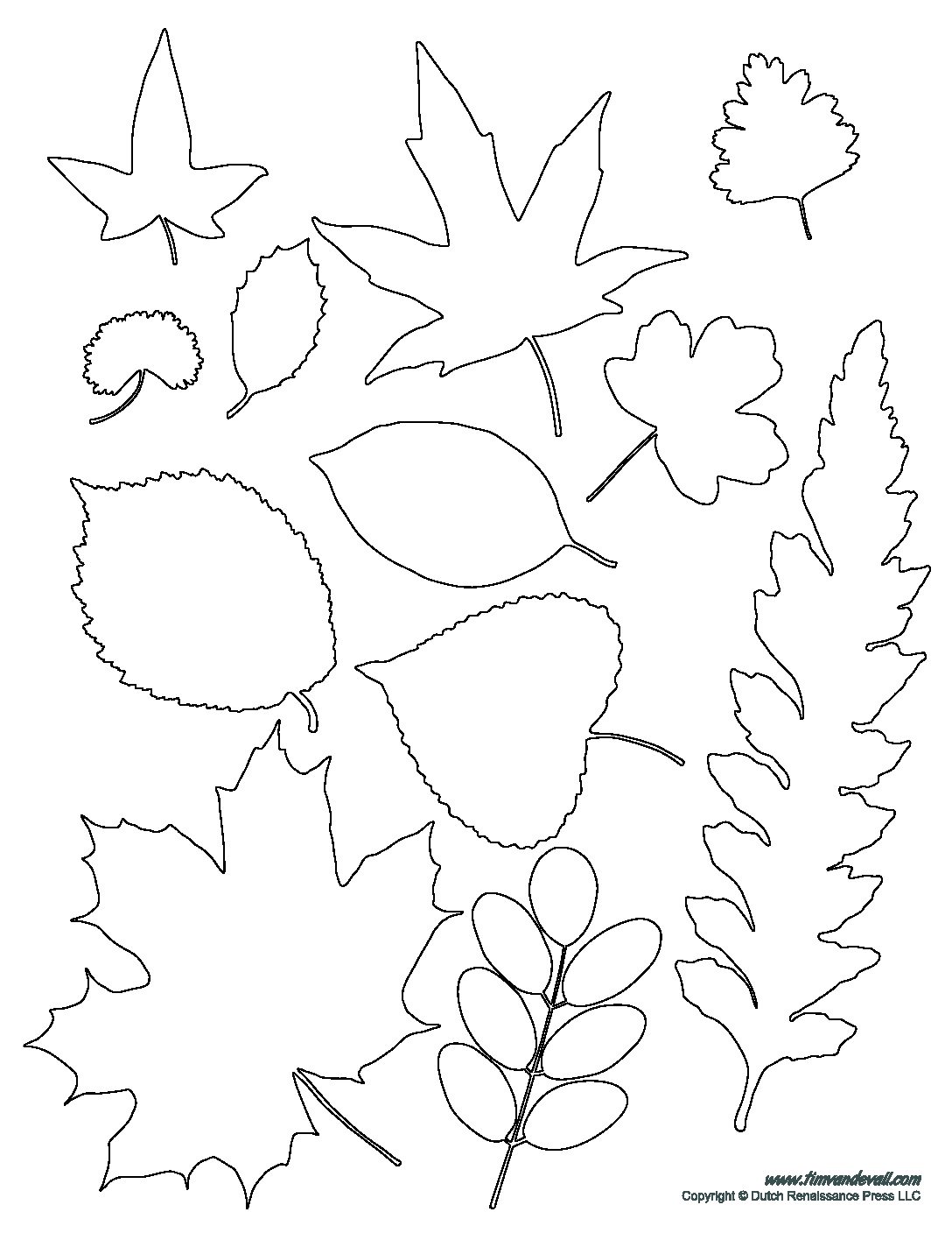 leaves-template-free-printable-leaf-template-printable-leaf-template
